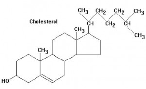 Как понизить высокий холестерин в крови