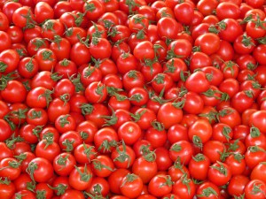 Как хранить помидоры