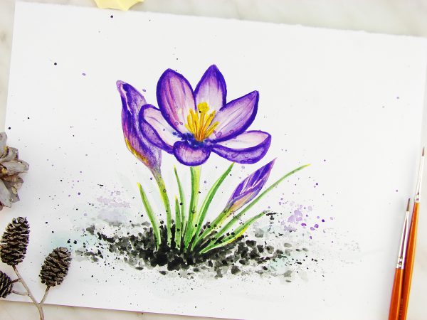 Видео: как нарисовать цветок крокус